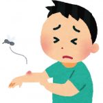 虫刺され予防にラベンダーオイルを使う時の注意点!効能も!