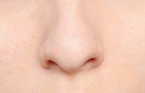 human nose